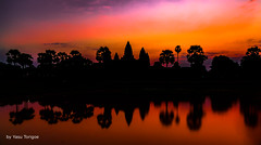 Feb 2018 Angkor Wat morning
