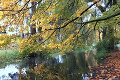 Fall Foliage along North Creek