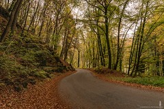 Müllerthal Trail Autumn 2018