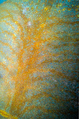 rust on an oil drum abstracts
