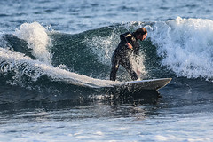 Surfers at Topanaga Beach 100618