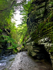 Ithaca is Gorges