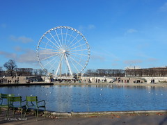 Jardin des  Tuileries