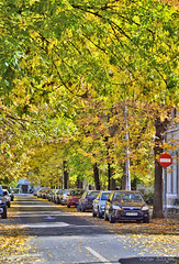 Autumn in Bucharest - October 2018