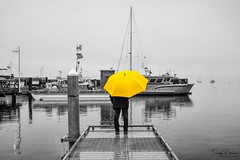I 💛 Yellow Umbrellas ☂ 