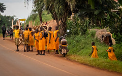 2018 Uganda,on the way to  Mabira Forest