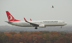 Turkish Airlines 