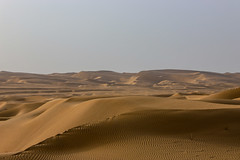 Taklamakan Desert 塔克拉瑪干沙漠