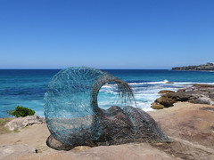 Bondi to Coogee coastal walk | sculpture by the sea 2018
