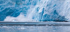 Alaska - Kenai Fjords Glacier Cruise