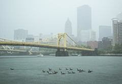 Rainy Day in Pittsburgh