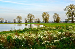 Landschaften - landscape / Niederlande - Provinz Gelderland