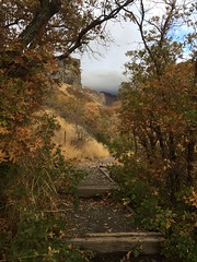 October 4, 2018 b (Dry Canyon)