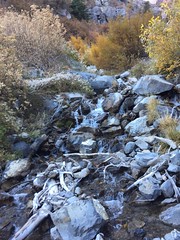 October 24, 2018 b (Upper Falls, Lost Creek Falls, etc)