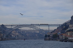 Douro River cruise 2018