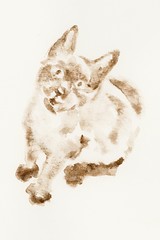 Cat Paintings for Sale