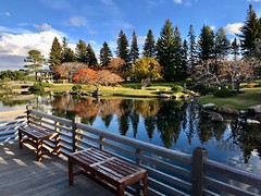 An autumn visit to the Nikka Yuko Japanese Garden, Lethbridge 