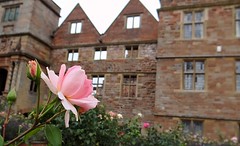 Rufford Abbey Country Park, Nottingham