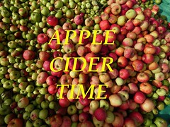 Apple Cider Time