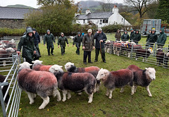 Walna Scar Shepherds Meet, Broughton Mills, Cumbria, 3rd November 2018.