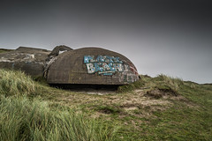 Abandoned Island Giants