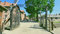 Pologne, les camps d'Auschwitz