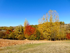 culori de toamnă/autumn colors