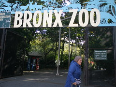 '18 Bronx Zoo