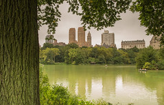 Imagine, Central Park