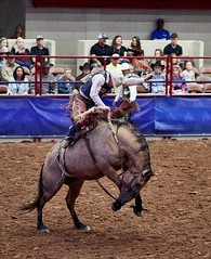 Heart of Texas Fair & Rodeo 2018