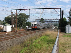 NSW Electric Trains