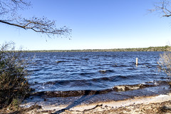 Jones Lake NC - NC Bay lakes