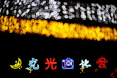 大坑舞火龍/中秋綵燈會 Tai Hang Fire Dragon / Mid-Autumn Festival Lanterns