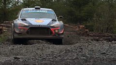 WRC Wales Rally GB (2018)
