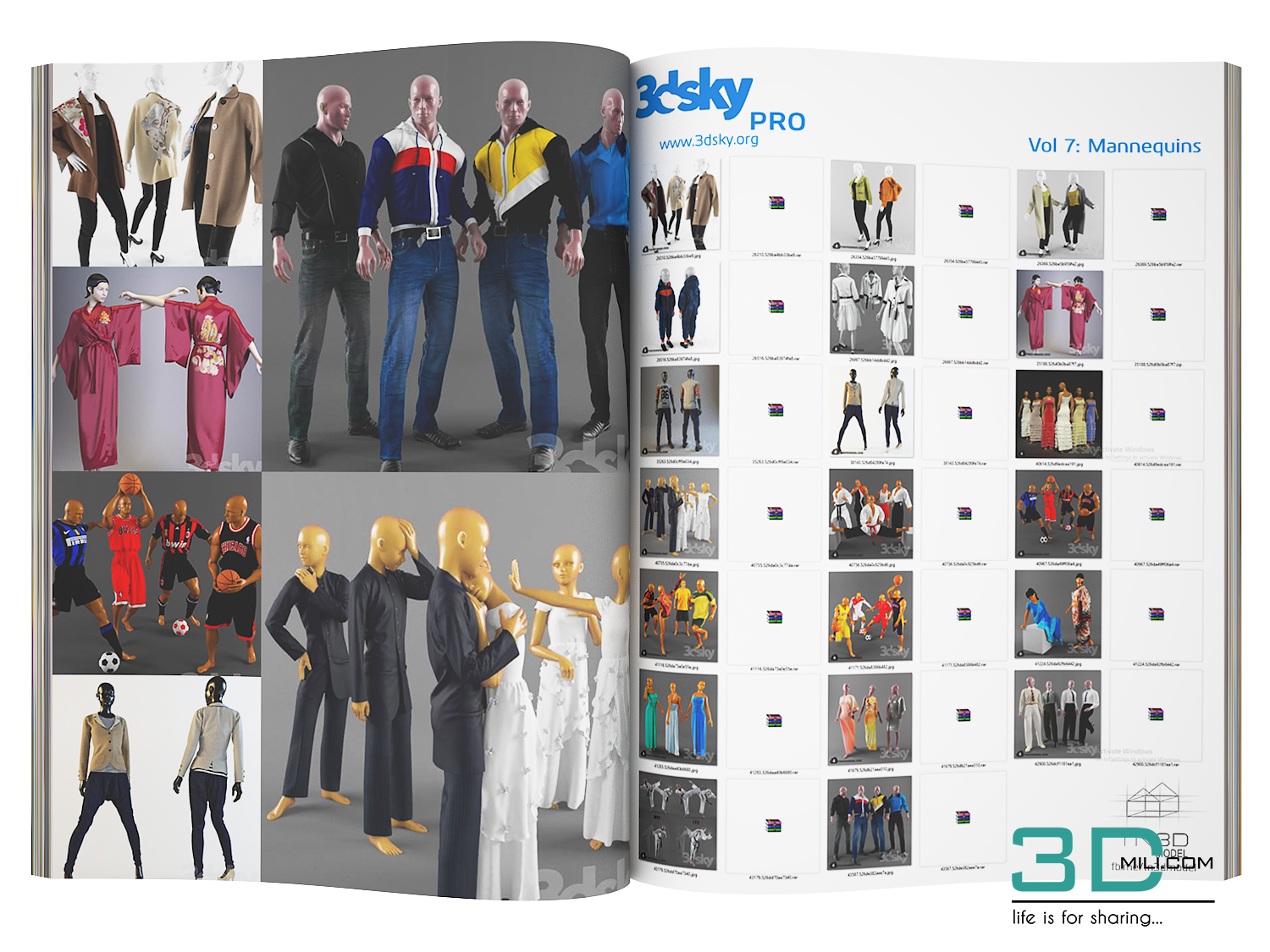 3DSKY PRO 3D Models Collection