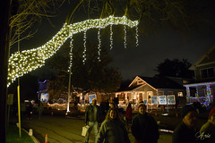 2018 Lights in the Heights