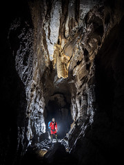 Cueva Tocinos Cantabria