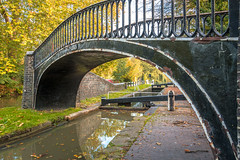 Oxford Canal Walk OxMail CC 20-10-18.