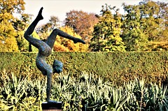 Surrey Sculpture Society at Wisley & Savil Garden