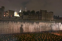 World War One Memorial - Beyond The Deepening Shadow
