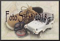 Foto Safari 2018 - 1