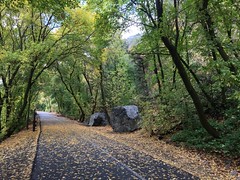 October 7, 2018 (Provo River Tr, Indian Rd Tr, etc)