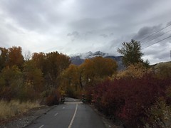 October 26, 2018 a (Timpanooke Trail, Provo Canyon)