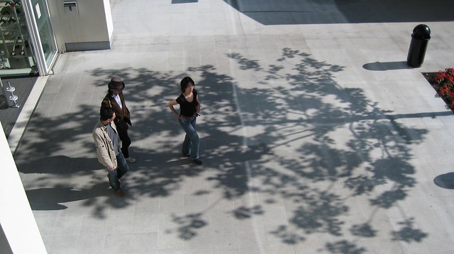 Tree Shadow And Pedestrians
