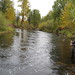 Tim fishing near Trapper Creek
