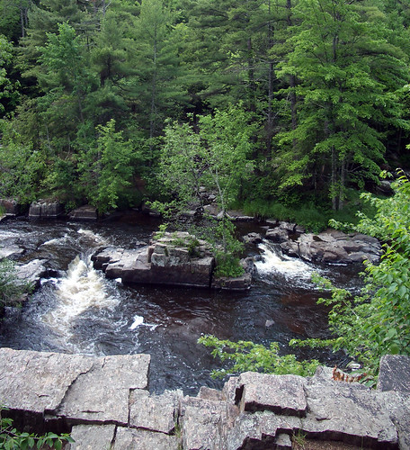 park summer nature water wisconsin river dells eauclaireriver wisconsinpark
