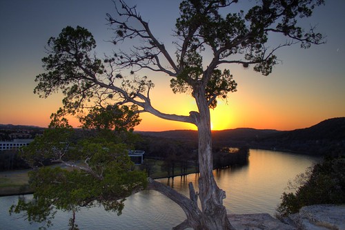 sunset lake tree austin evening texas hill mesquite burningbush hilltop superbmasterpiece