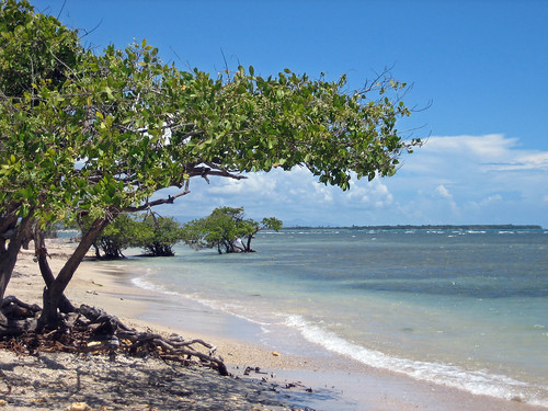 paisajes island landscapes puertorico tropical isla oquendo
