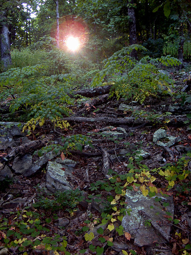 sunrise hiking ridge arkansas ozarks ozark onthetrail hikingtrail rimtrail oht ozarknationalforest whiterockmountain ozarkhighlandstrail arkansastrail