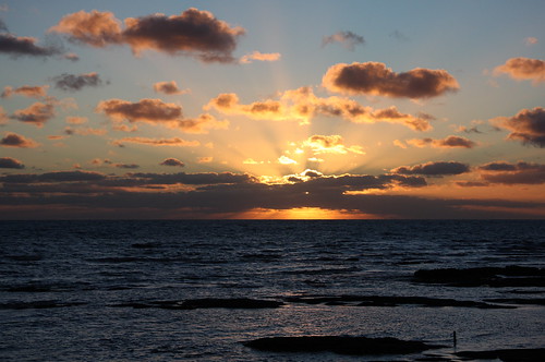 sea sunrise scotland angus
